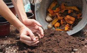 a photo of a someone scooping up soil. compost bin is in the photo